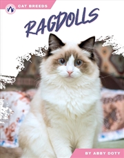 Buy Cat Breeds: Ragdolls
