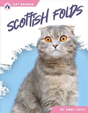 Buy Cat Breeds: Scottish Folds