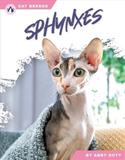 Buy Cat Breeds: Sphynxes