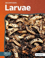 Buy Decomposers: Larvae