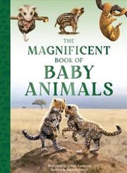 Buy Magnificent Book of Baby Animals