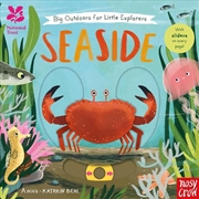 Buy Seaside (Big Outdoors for Little Explorers: NT)