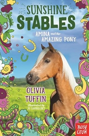 Buy Amina and the Amazing Pony (Sunshine Stables)