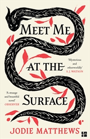 Buy Meet Me at the Surface