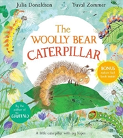 Buy The Woolly Bear Caterpillar