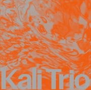 Buy The Playful Abstract