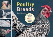 Buy Poultry Breeds