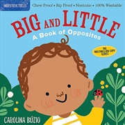 Buy Indestructibles: Big and Little: A Book of Opposites