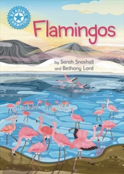 Buy Reading Champion: Flamingos