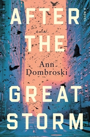 Buy After the Great Storm