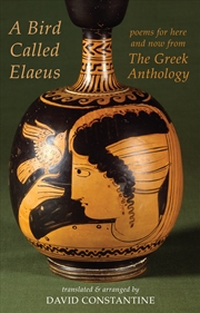 Buy A Bird Called Elaeus