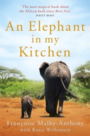 Buy An Elephant In My Kitchen