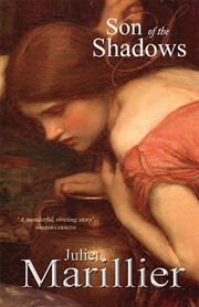 Buy Son of the Shadows: A Sevenwaters Novel 2