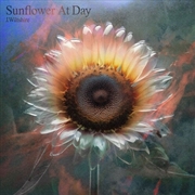Buy Sunflower At Day