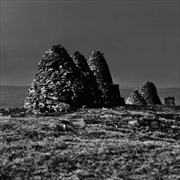 Buy Standers - Dark Fell Green Vinyl