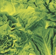 Buy Monorail 3000 B/W Star Children