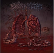 Buy Invisible Threads