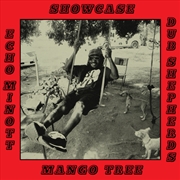 Buy Mango Tree Showcase