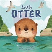 Buy Little Otter