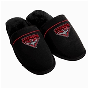 Buy AFL: Essendon - Slippers - S8-9