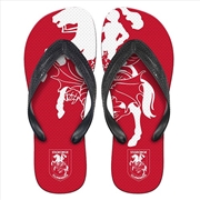 Buy NRL: St George Dragons - Thongs - S