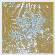 Buy For Those Of You Who Have Never  (And Also Those Who Have)