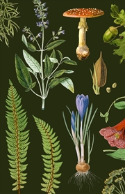 Buy Woodland :Blank Lined Journal