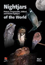 Buy Nightjars, Potoos, Frogmouths, Oilbird, and Owlet-nightjars of the World