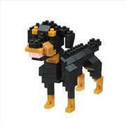 Buy nanoblock - Rottweiler