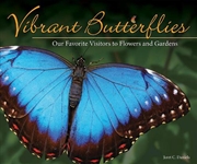 Buy Vibrant Butterflies