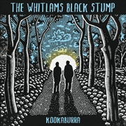 Buy Kookaburra