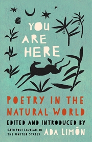 Buy You Are Here