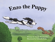Buy Enzo the Puppy