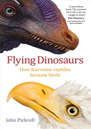 Buy Flying Dinosaurs