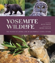 Buy Yosemite Wildlife
