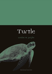 Buy Turtle