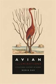 Buy Avian Illuminations