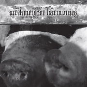 Buy Flowers in the Spring - OPAQUE PINK VINYL