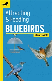 Buy Attracting & Feeding Bluebirds