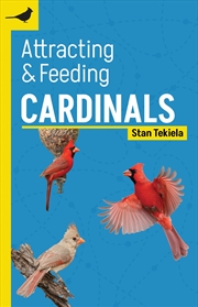 Buy Attracting & Feeding Cardinals