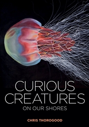 Buy Curious Creatures on our Shores