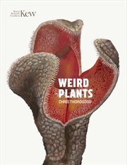 Buy Weird Plants