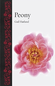 Buy Peony