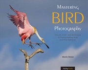 Buy Mastering Bird Photography