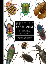 Buy Beetles of the World