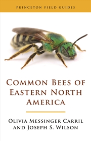 Buy Common Bees of Eastern North America