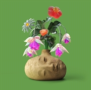 Buy Dreams - "Flower Petal" Fuschia Vinyl