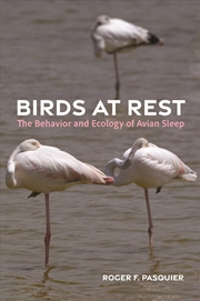Buy Birds at Rest