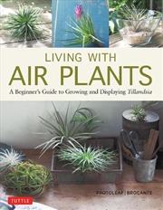 Buy Living with Air Plants