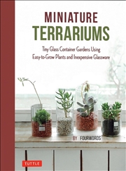 Buy Miniature Terrariums